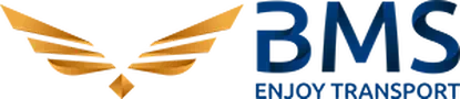 BMS Envíos Ecommerce