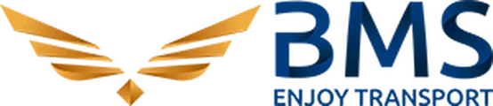 BMS Envíos Ecommerce